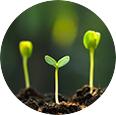 Grow Lights For Seedlings