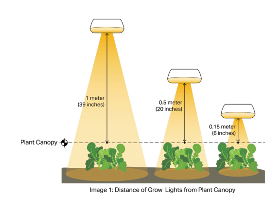 Grow Light Distance Chart