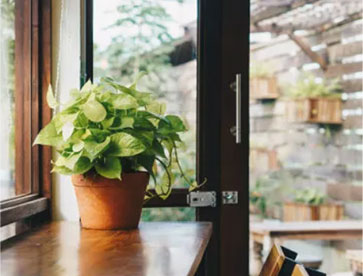 Grow Light For Indoor Plants