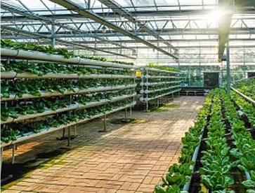 Led Grow Lights For Vertical Farming