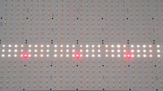 Grow Light Price