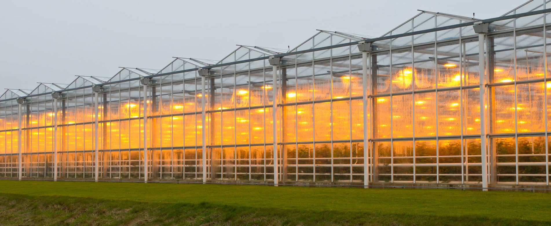 Led Grow Lights For Vertical Farming